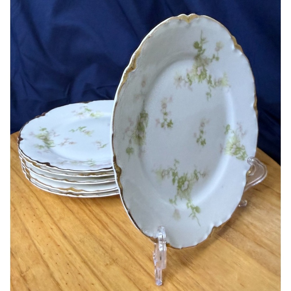 6 Haviland Schleiger 150 B SALAD Plates
